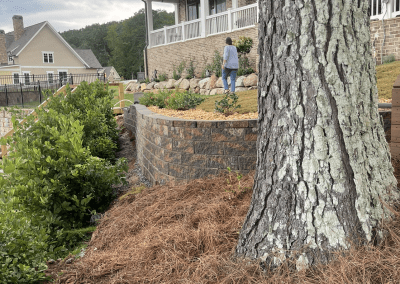 Tree Removal