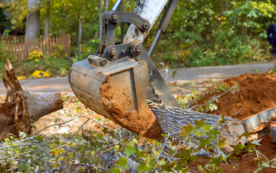 Land Clearing Cartersville GA