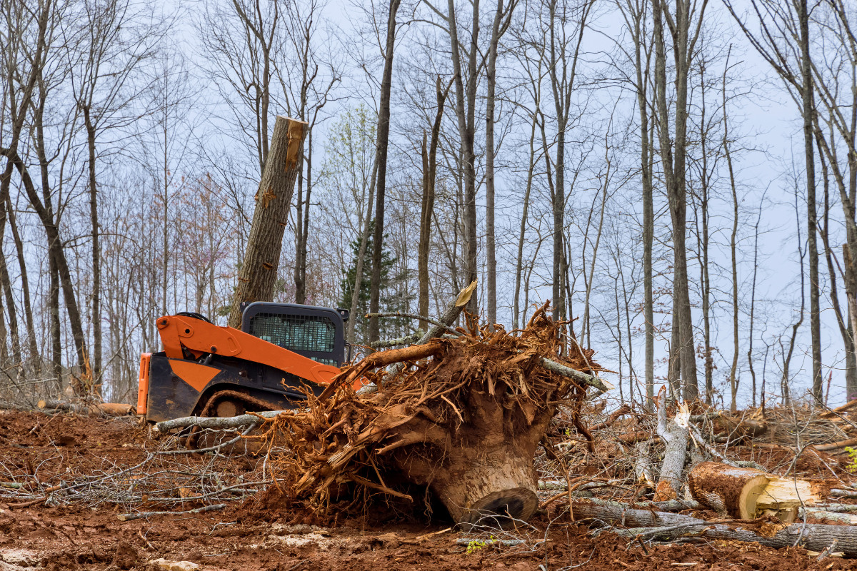 Land Clearing Cartersville GA